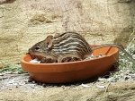 20170618_160733.jpg