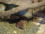 20170618_160700.jpg