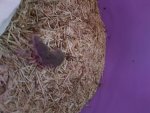20170706_145132.jpg