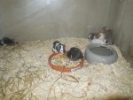 DSCN1087.jpg