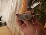 20170709_221041.jpg