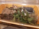 20170707_230625.jpg