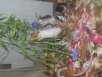 DSCN1117.jpg