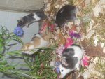 DSCN1118.jpg
