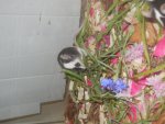 DSCN1120.jpg