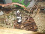 DSCN1145.jpg