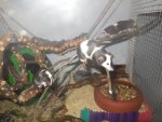 DSCN1157.jpg