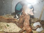 DSCN1149.jpg