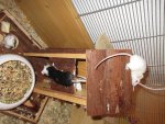 IMG_0944.jpg