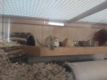 IMG_20170819_114452.jpg