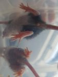 20170828_111858.jpg