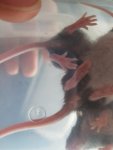 20170828_111912.jpg
