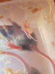 20170828_113235.jpg