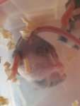 20170828_113326.jpg