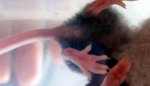 oben_20170828_111912.jpg