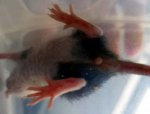 Oben_20170828_111858.jpg