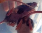 GR_20170828_111837.jpg