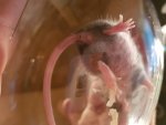 20170828_193514.jpg