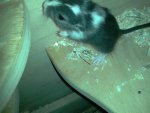 IMG-20170814-WA0000.jpg