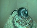 IMG-20170814-WA0001.jpg