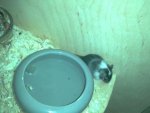 IMG-20170814-WA0002.jpg