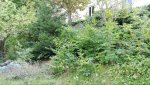Bildschirmfoto 2017-09-19 um 17.20.32.jpg