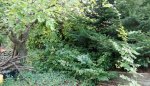 Bildschirmfoto 2017-09-19 um 17.20.40.jpg