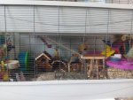 IMG_20170922_105807.jpg