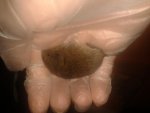 20170923_130310.jpg