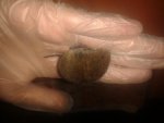 20170923_130348.jpg