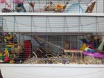 IMG_20171006_141654.jpg