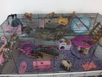 IMG_20171006_141255.jpg