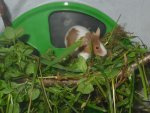 DSCN1249.jpg