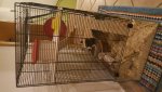20171023_191049.jpg