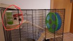 20171025_113457.jpg