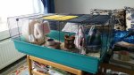 20171031_132228.jpg