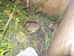 DSCN3163.jpg
