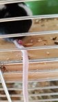 IMG-20171103-WA0006.jpg