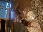 20171107_160322.jpg