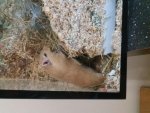 20171111_130422.jpg