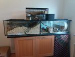 20171111_125857.jpg