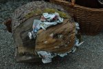 DSC_2766.jpg