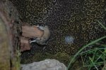 DSC_2683.jpg