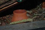 DSC_3194.jpg