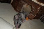 20171118_180957.jpg