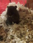 20171119_102214.jpg