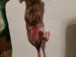 20171120_053854.jpg