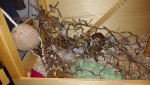 20171128_163055.jpg