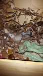 20171128_163048.jpg
