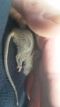IMG-20171202-WA0001.jpg